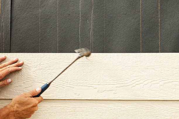 Best Siding Painting and Refinishing  in Emigsville, PA